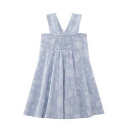 ⁦סרפן פפיון פייזלי⁩ – תמונה ⁦3⁩